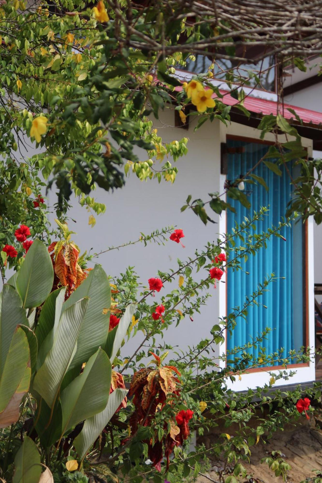 Hacienda Don Vicente Bungalows-Tarapoto Kültér fotó